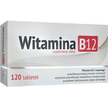 ALG Pharma Vitamín B12 100 mcg 120 tabliet
