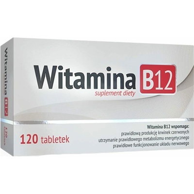 ALG Pharma Vitamín B12 100 mcg 120 tabliet