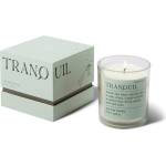 Paddywax Свещ Paddywax Mood Candle Tranquil Lush Palms, 226 g