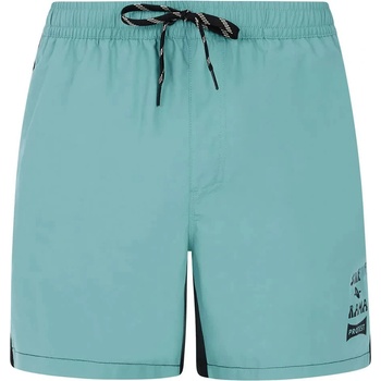 Protest Бански гащета Protest Ben swimming shorts - Green (Arctic Green)