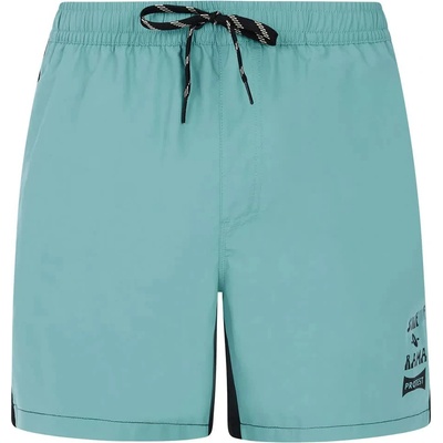 Protest Бански гащета Protest Ben swimming shorts - Green (Arctic Green)