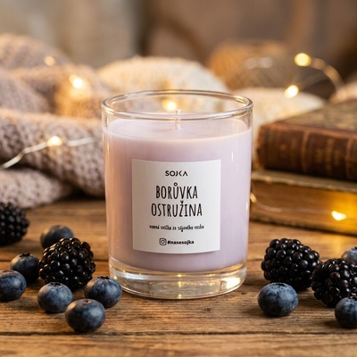 SOJKA Borůvka & Ostružina 140 g