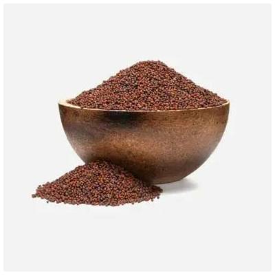 GRIZLY Brokolice BIO semínka na klíčení 6 x 250 g