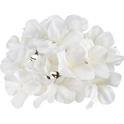 Hortenzia hlava 16 cm Cream 6 ks/bal