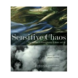Sensitive Chaos (ISBN: 9781855843943)