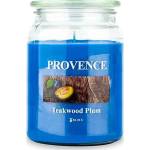 UTC Ароматна свещ TEAKWOOD PLUM 510g 85-95 ч (UT0288)