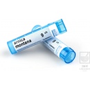 ARNICA MONTANA POR 9CH GRA 4G