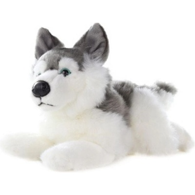Lamps Husky