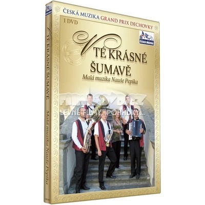 VARIOUS - V TE NASI KRASNE SUMAVE DVD