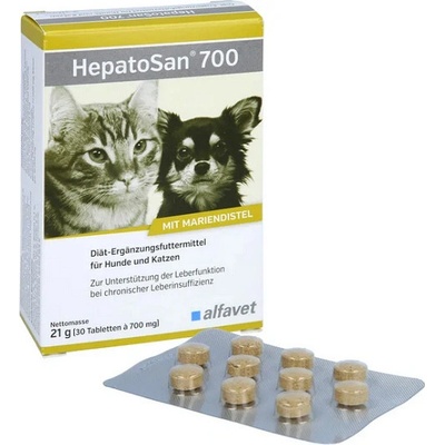 HepatoSan 700 mg 21 g 30 ks