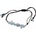 Nefertitis NF31835