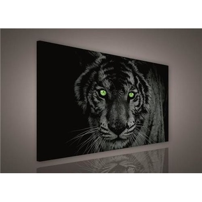 Obraz na plátně tygr zelené oči 130BO1, 100 x 75 cm, IMPOL TRADE