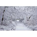DIMEX ART Флизелинов фототапет зимна гора 375 x 250 см