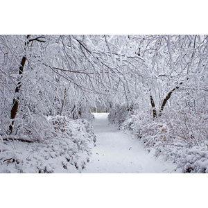DIMEX ART Флизелинов фототапет зимна гора 375 x 250 см