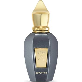 Xerjoff Ouverture - Vibe Collection унисекс парфюм 50 мл - EDP