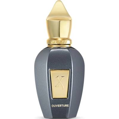 Xerjoff Ouverture - Vibe Collection унисекс парфюм 50 мл - EDP