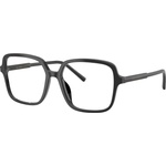 Dolce&Gabbana DG3442 501