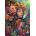 Grafika Art Puzzle - Puzzle Eden Cove - Mahlia - 1 000 piese