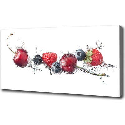 Foto obraz canvas Lesné ovocie 100x50 cm