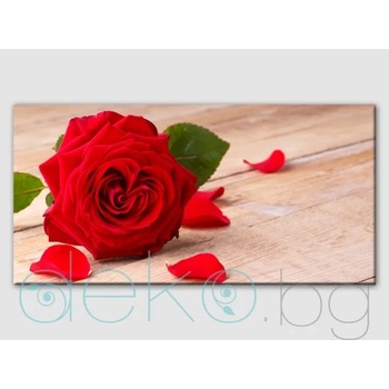 Image 1 of Червена роза (30095)