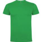 Roly Xfer roly dogo premium / Мъжка тениска - ирландско зелено xxl (e6502-24-xxl)
