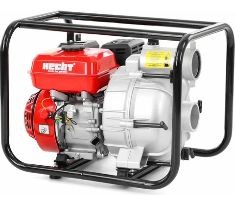 Hecht 3681