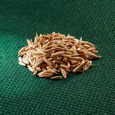 AROS zelené krmení (jílek jednoletý)