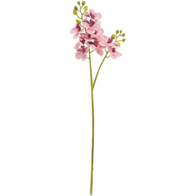 KS ORCHIDEA PHALAENOPSIS RUŽOVÁ 60CM