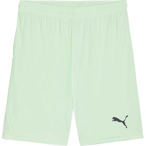 PUMA Teamgoal shorts светло-зелено, черно l (70575260)