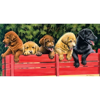 SunsOut XXL All Aboard 500 dielov