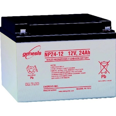 Genesis NP 24-12 12V 24Ah