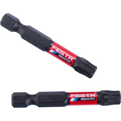 FESTA Торсионен накрайник industry t40 50 мм s2 1/4" 2 бр. 18725.01 (18725.01)