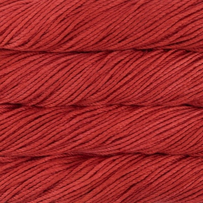 Malabrigo Chunky Cactus Flower Pletacia priadza