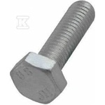 Walraven Bis screw m10x25 hexagonal