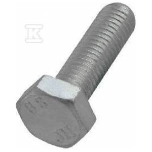 Walraven Bis screw m10x25 hexagonal