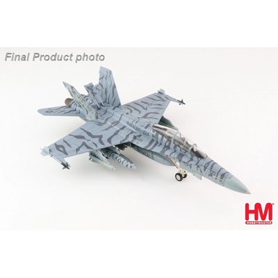 Hornet Hobby Master F A-18D USMC VMFAAW-224 Bengals WK00 MCAS Iwakuni Japan 2009 1:72