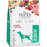 Dolina Noteci 4vets Hepatic 1 kg