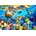 Bluebird Puzzle - Puzzle Turtle Beach - 1 000 piese