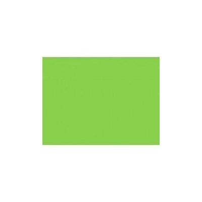 Rosco 121 Leaf green