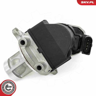 AGR - Ventil ESEN SKV 14SKV272