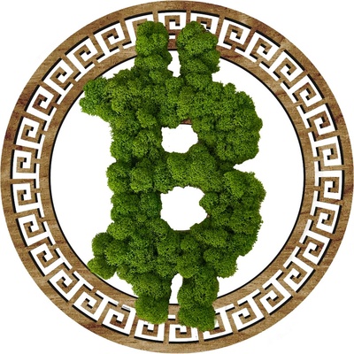 MACHOVÝ DREVENÝ BITCOIN OBRAZ - 50cm, Palisander