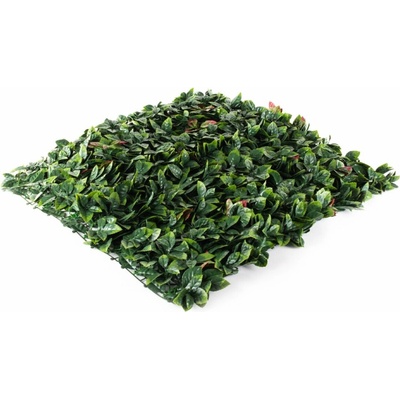 Hawaj Umělý živý plot Blýskalka Photinia stěna 100 × 100 cm červená
