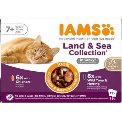 IAMS Delights Senior Land & Sea Collection in Sauce míchané balení 1 (24 x 85 g, 2 příchutě)