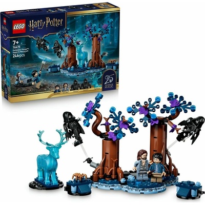 LEGO® HARRY POTTER™ 76475 Zapovězený les: Expecto Patr