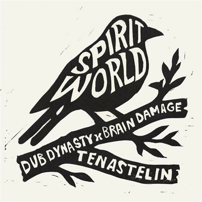 Brain Damage & Dub Dynasty - Spirit World ft. Tenastelin LP