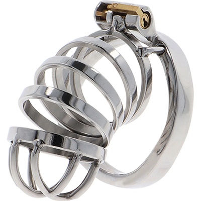 Hidden Desire Extreme Chastity Cock Cage Metal