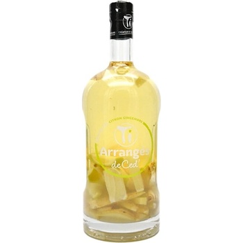 Ti Rhum Arrangés Lemon Ginger GWAMARÉ 32% 0,7 l (holá láhev)