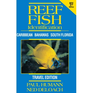 Reef Fish Identification - Travel Edition - 2nd Edition: Caribbean Bahamas South Florida | Ned Deloach (ISBN: 9781878348692)