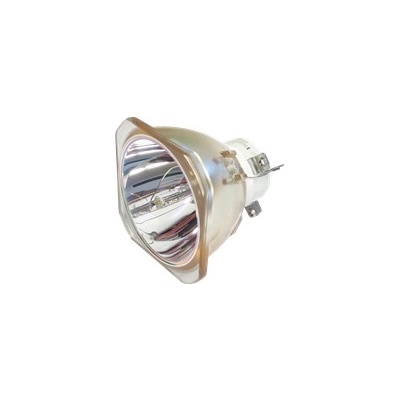 Lampa pro projektor NEC NP42LP (100014502), kompatibilní lampa bez modulu – Zboží Mobilmania