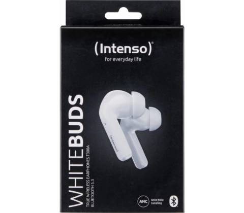 Intenso T302A